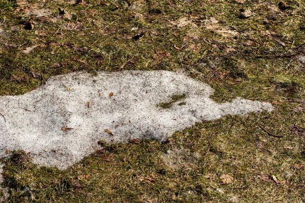 春の解凍中に芝生の芝生の上で残雪の抽象的なテクスチャビューを閉じます — ストック写真