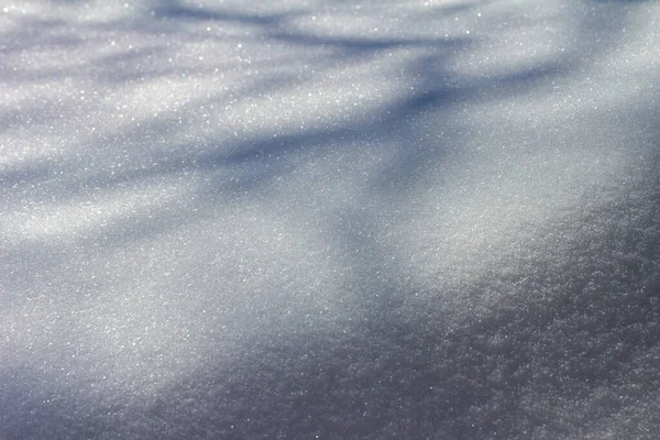 屋上の屋上には雪が積もっており 暗い木の影とコピースペースがあります — ストック写真
