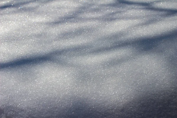 屋上の屋上には雪が積もっており 暗い木の影とコピースペースがあります — ストック写真