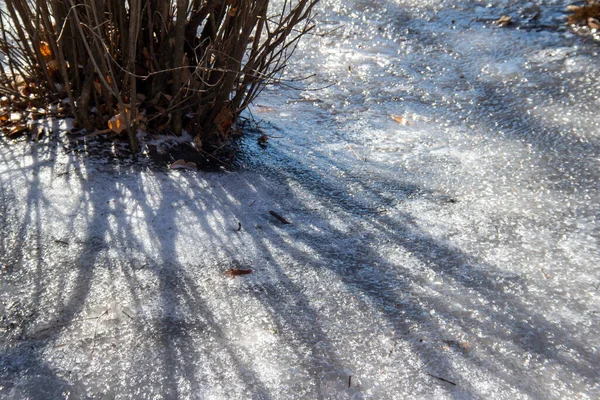 Fundo Textura Uma Neve Congelada Gramado Coberto Gelo Com Arbusto — Fotografia de Stock
