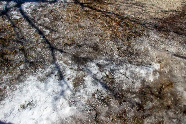 겨울에 얼어붙은 잔디밭에 그림자 — 스톡 사진