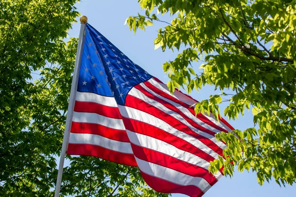 Close up, low angle view of an American flag in an outdoor setting with trees and blue sky and with a light breeze