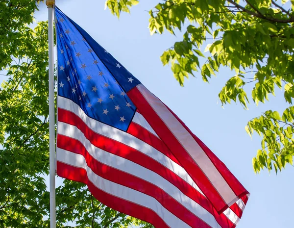 Close Low Angle View American Flag Outdoor Setting Trees Blue — Stock Photo, Image