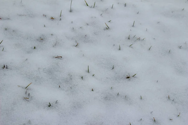 Full Frame Abstract Texture Background Melting Snow Grass Lawn Springtime — Foto Stock