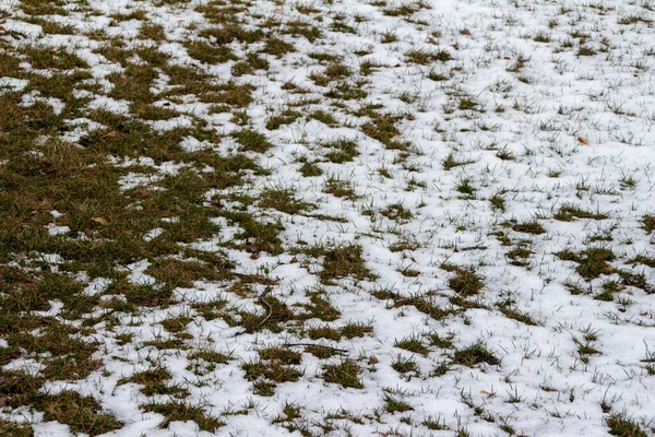 Full Frame Abstract Texture Background Melting Snow Grass Lawn Springtime — ストック写真