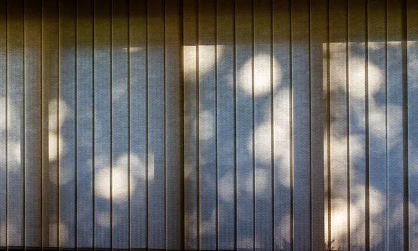 Textura Fondo Árbol Filtrado Por Luz Del Sol Sombras Hojas —  Fotos de Stock