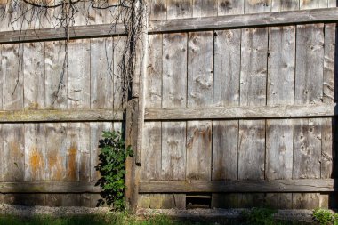 Boyasız, eski ahşap ahşap çitin soyut dokusu, yaştan beri doğal yıpranmaları gösteriyor.