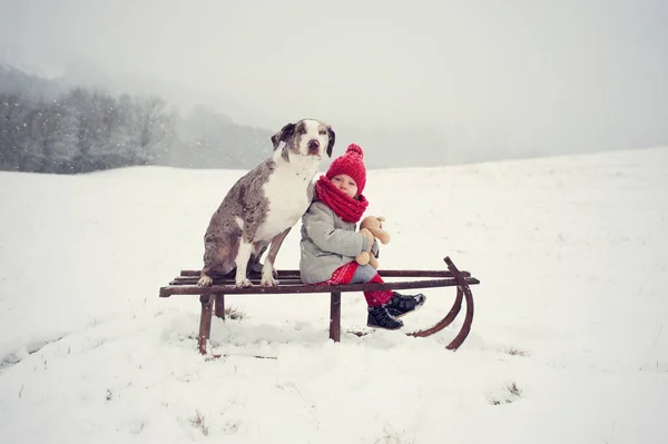 Bellissimo Inverno Bambina Con Suo Cane Migliore Amico Sedersi Una Foto Stock