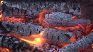 Kamp ateşi, odun, kömür ve kül gibi yakın çekim alevleri. Yaz akşamında barbekü için yangın. Güzel doğal video 4K. Yakın çekim şenlik ateşi.