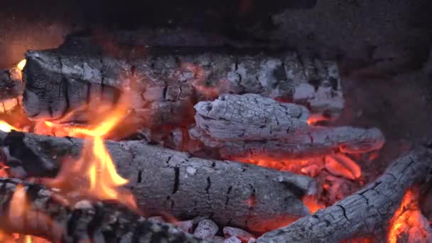 Kamp Ateşi Odun Kömür Kül Gibi Yakın Çekim Alevleri Yaz — Stok video
