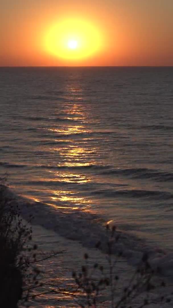 Zonsopkomst Zonsondergang Zee Gras Zwaaien Wind Tegen Achtergrond Zonsopgang Zonsondergang — Stockvideo
