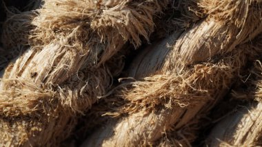 Yıpranmış eski bir tekne halatının yakın çekim dokusu, limandaki demirleme tekneleri için halat. Doğal desen, arka plan. Makrofoto, güneş ışığı ve gölgeler..