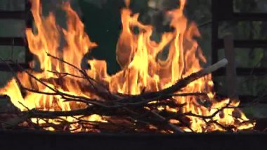 Kamp ateşi, odun, kömür ve kül gibi yakın çekim alevleri. Yaz akşamında barbekü için yangın. Güzel doğal video 4K. Yakın çekim şenlik ateşi.