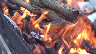 Kamp ateşi, odun, kömür ve kül gibi yakın çekim alevleri. Yaz akşamında barbekü için yangın. Güzel doğal video 4K. Yakın çekim şenlik ateşi.