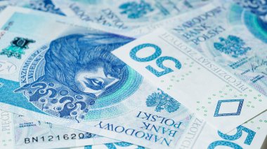 Zloty banknotlarının yakın plan çekimleri, Polonya para birimi. Başka bir ülkede döviz kuru kavramı. Seçici odak