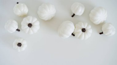 Beyaz zemin üzerinde birçok beyaz balkabağı yakın plan, üst görünüm, düz yatış, kopyalama alanı. Dekor konsepti Mutlu Cadılar Bayramı. Şükran Günü, sonbaharın sembolü. Güzel bayrak.