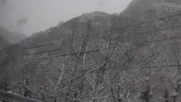 Снігопад Горах Наґано Японія — стокове відео
