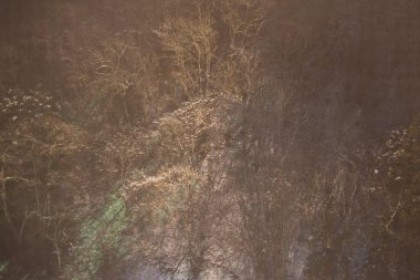 Deep mountains and forests with snow at night in Japan