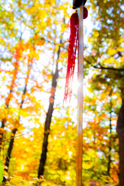 Chinese sword in colorful autumn forest