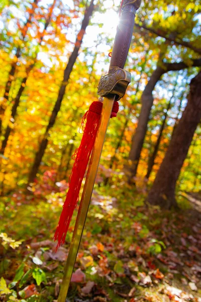 Chinese sword in colorful autumn forest
