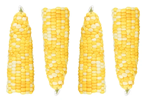 Corn Isolated White Background — Stock Photo, Image