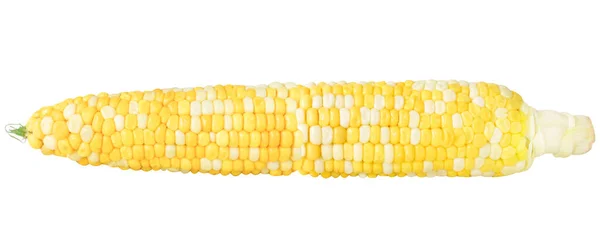 Кукурудза Ізольованому Білому Тлі — стокове фото