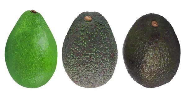 Raccolta Avocado Fondo Bianco Isolato Avocado Nero Verde — Foto Stock