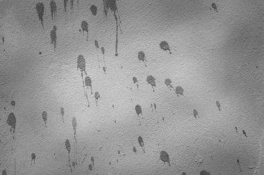 Yağmur sonrası gri duvar, yoğunlaşma duvarları. Gri duvar dokusu arka planında bir damla su.