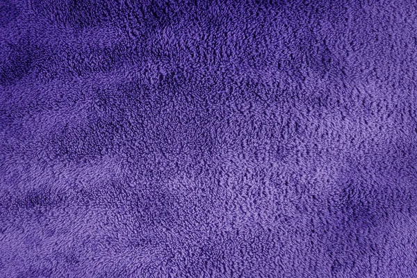 Фиолетовый Шерстяной Ковер — стоковое фото