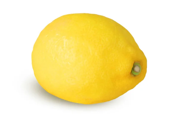孤立した白い背景の上のレモン — ストック写真