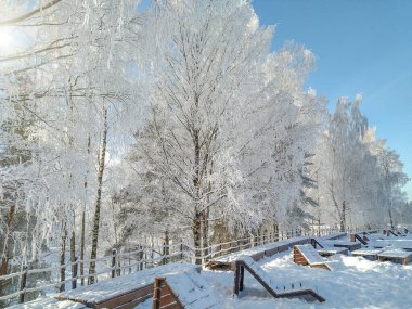 Kış güneşli bir gün. Karla kaplı ağaçlar ve park bankları. Donuyorum. Yatay fotoğraf