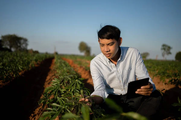 Zemědělec Pracující Při Použití Digitálního Tabletu Poli Při Západu Slunce — Stock fotografie