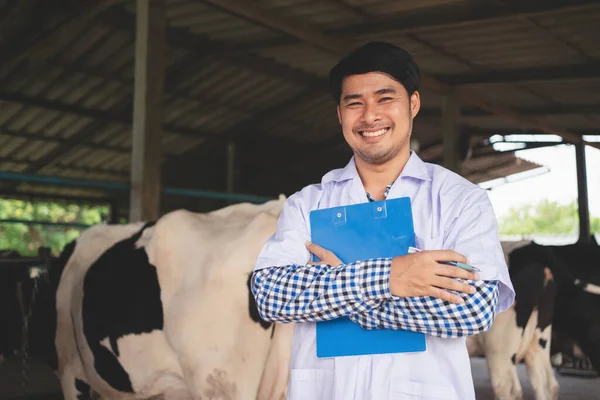 Úsměvem Šťastný Veterinární Lékař Mléčné Farmě Zemědělství Zemědělství Chov Zvířat — Stock fotografie
