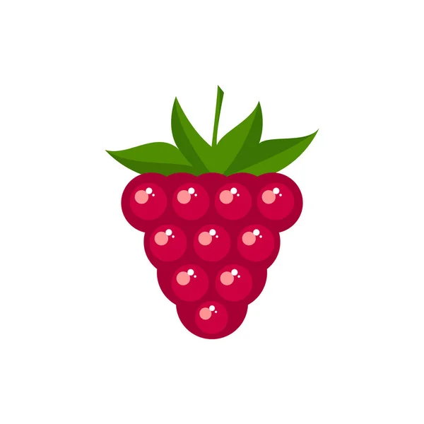 Fresh Raspberry Fruit Vector Color Icon Eps Berry Fruits Illustration — Stock Photo, Image