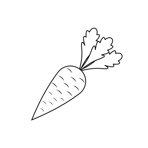 Вектор Морквяного Овочевого Обведения Черный Вегетаріанська Плоска Ілюстрація Продукт Фермерського — стокове фото