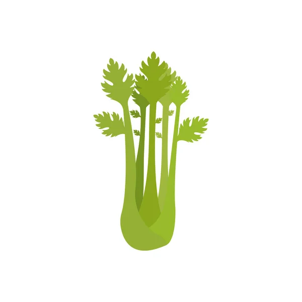 Sellerie Blätter Symbollinie Farbig Gemüseflache Illustration Bauernmarktprodukt Vegetarische Kost Frische — Stockfoto