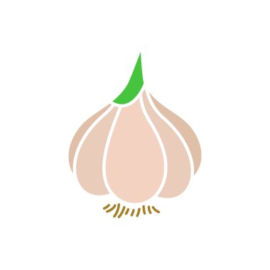 Garlic vegetable icon line colored. Spice line flat illustration. Farm market product. Vegetarian food. Fresh healthy organic food. Crop concept for vegan. Isolated on white