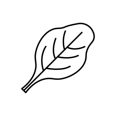 Ispanak siyah iz bırakır. Fiber çizgi düz çizim. Çiftlik pazarı ürünü. Vejetaryen yemeği. Taze sağlıklı organik gıda. Vegan için ekin konsepti. Beyazda izole edilmiş