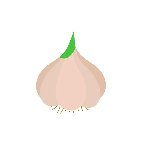 Garlic Vegetable Icon Line Colored Spice Line Flat Illustration Farm — ストック写真