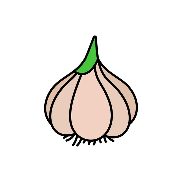 Garlic Vegetable Icon Line Colored Spice Line Flat Illustration Farm — ストック写真
