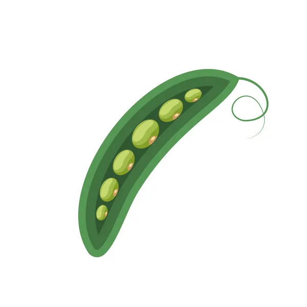 Pea Vegetable Icon Line Colored Peas Pod Flat Illustration Farm — Stock Fotó