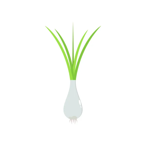 Green onion icon line solid colored. Vegetarian flat illustration. Farm market product. Agriculture concept. Fresh healthy organic food. Crop concept for vegan. Isolated on white