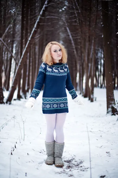 Zimą — Zdjęcie stockowe
