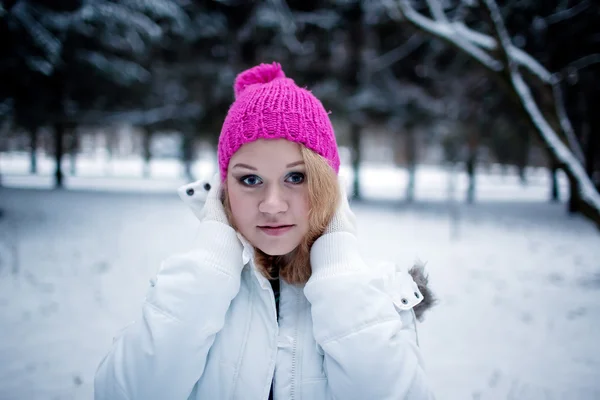 V zimě — Stock fotografie