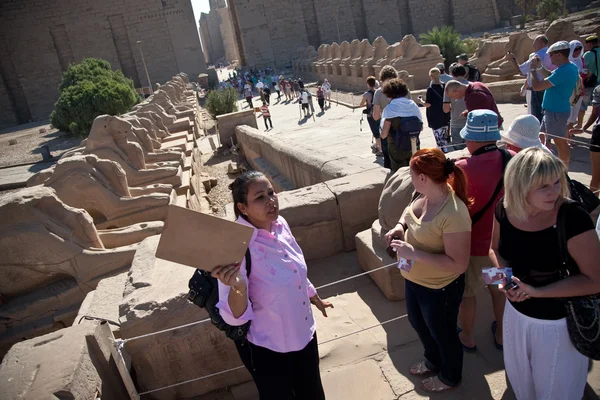 Turister och guide i Egypten Stockfoto