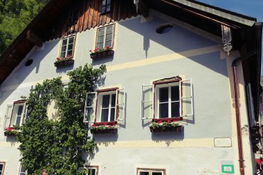 eski bina cephesi ile windows