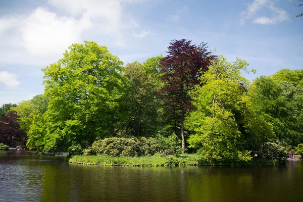 Paysage avec bord de rivière et arbres — Photo