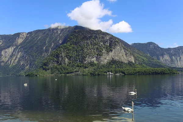 Paesaggio del lungofiume e delle montagne — Foto Stock