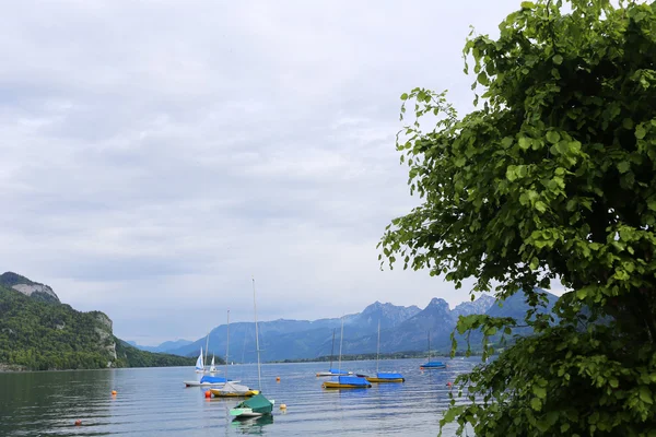 Landskap av riverside och bergen Stockfoto