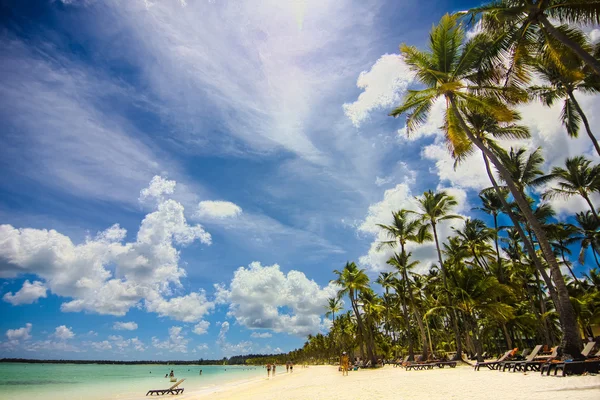 Paisaje de la playa de Bavaro — Foto de Stock